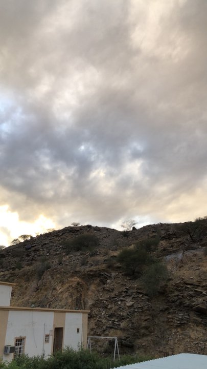 مشاركاتي في أنت الراصد