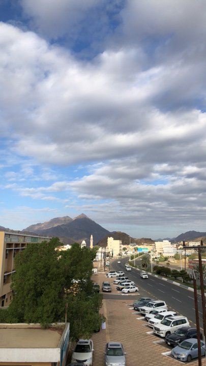 مشاركاتي في أنت الراصد