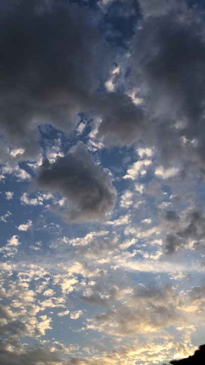 مشاركاتي في أنت الراصد