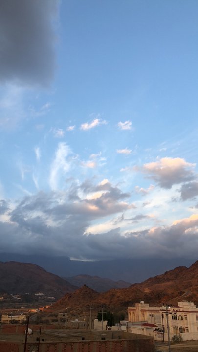 مشاركاتي في أنت الراصد