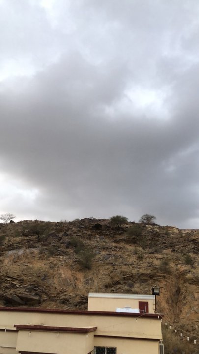 مشاركاتي في أنت الراصد