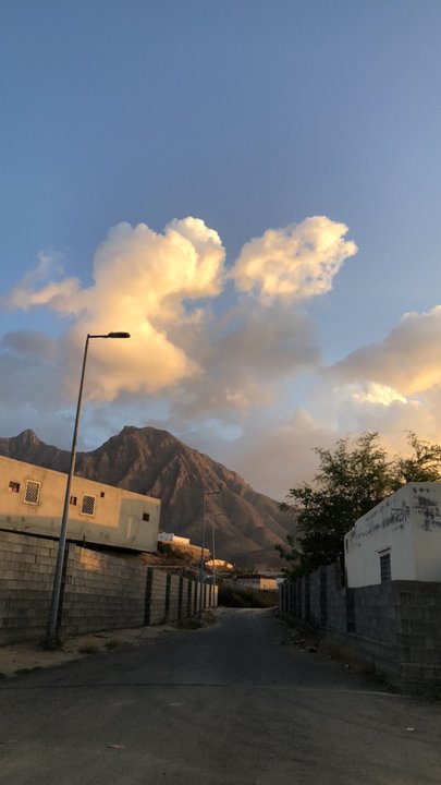 مشاركاتي في أنت الراصد