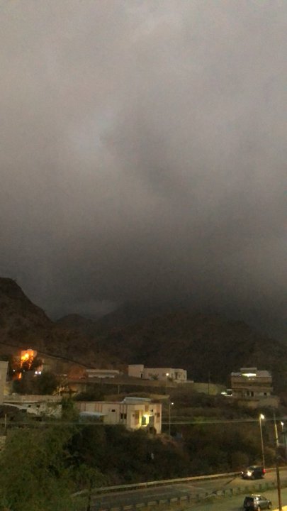 مشاركاتي في أنت الراصد