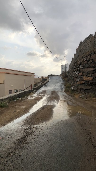 مشاركاتي في أنت الراصد