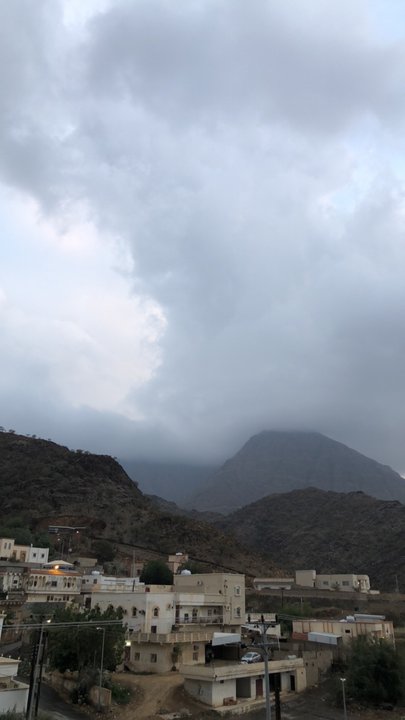 مشاركاتي في أنت الراصد