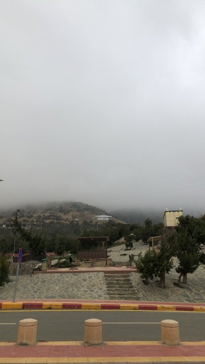 مشاركاتي في أنت الراصد