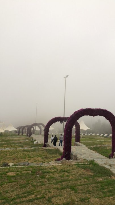 مشاركاتي في أنت الراصد