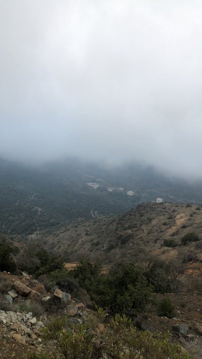 مشاركاتي في أنت الراصد