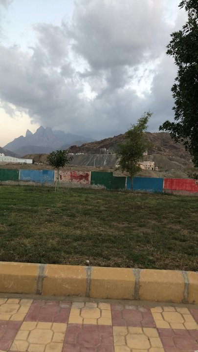 مشاركاتي في أنت الراصد