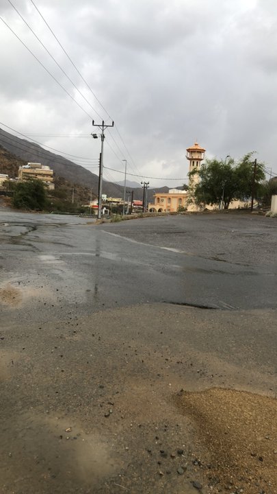 مشاركاتي في أنت الراصد