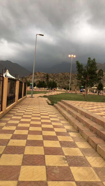 مشاركاتي في أنت الراصد