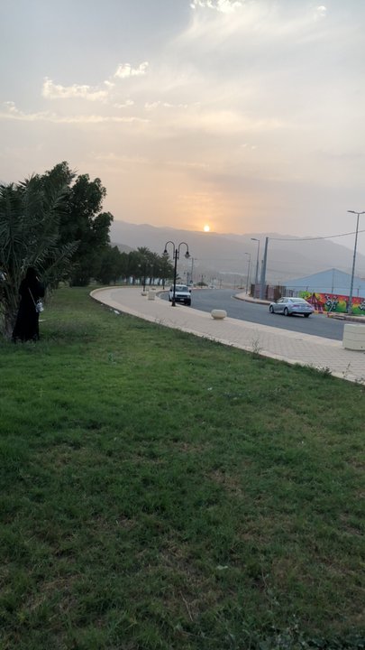 مشاركاتي في أنت الراصد