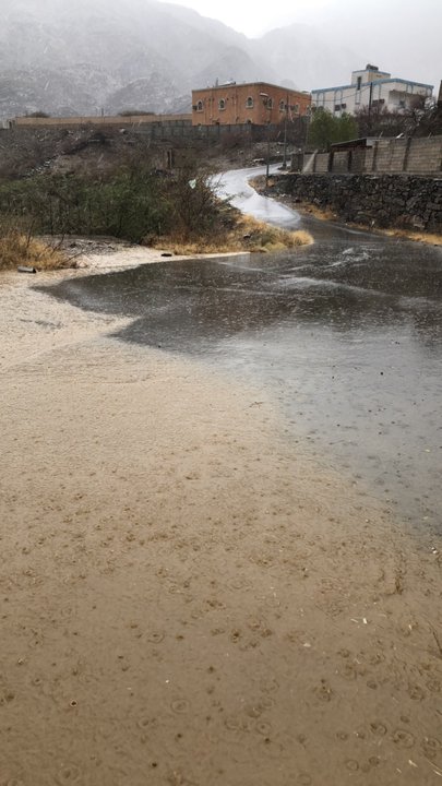 مشاركاتي في أنت الراصد