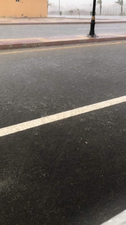 مشاركاتي في أنت الراصد