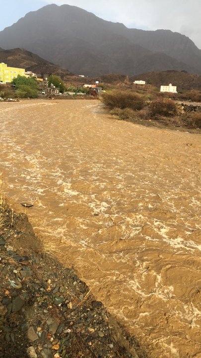 مشاركاتي في أنت الراصد