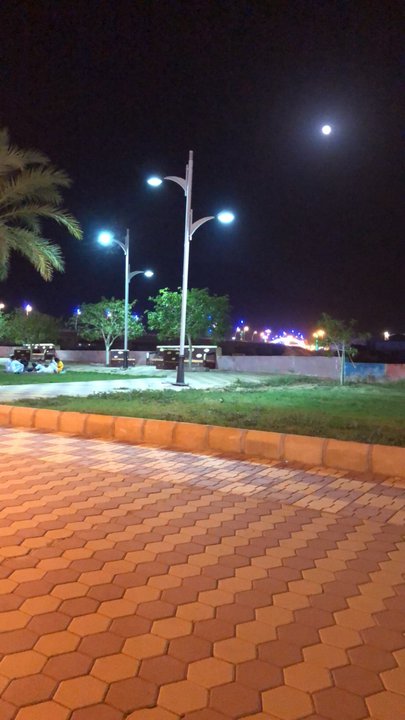 مشاركاتي في أنت الراصد