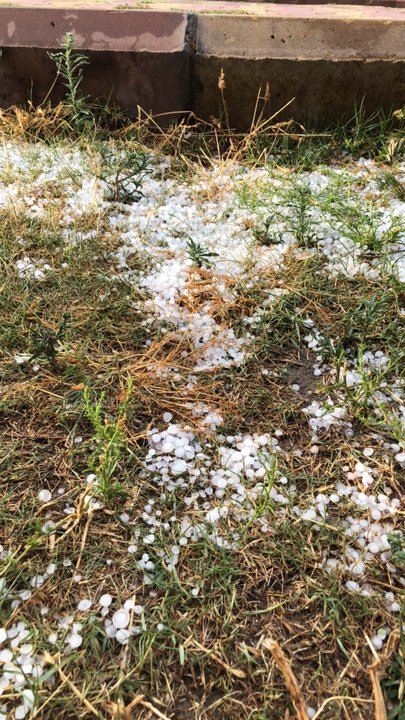 مشاركاتي في أنت الراصد