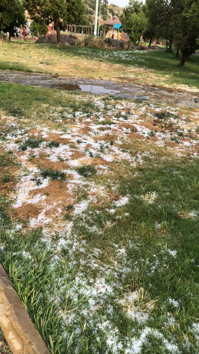 مشاركاتي في أنت الراصد