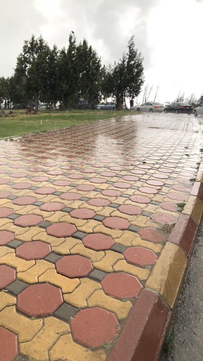 مشاركاتي في أنت الراصد