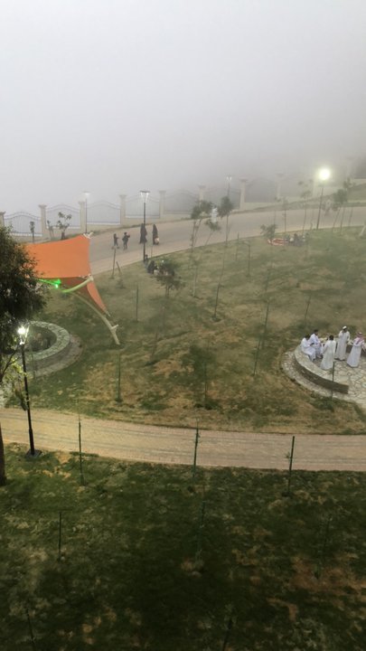 مشاركاتي في أنت الراصد