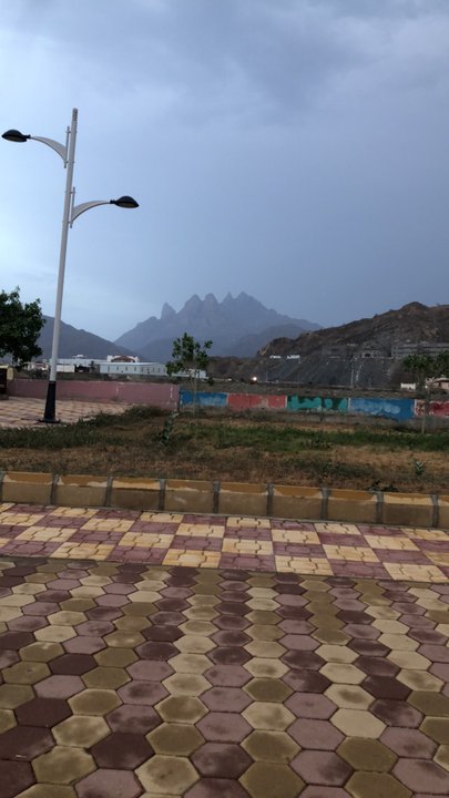 مشاركاتي في أنت الراصد