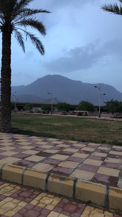 مشاركاتي في أنت الراصد