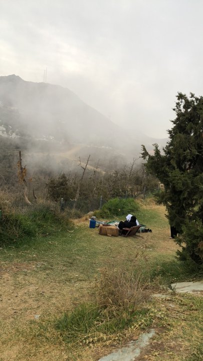 مشاركاتي في أنت الراصد