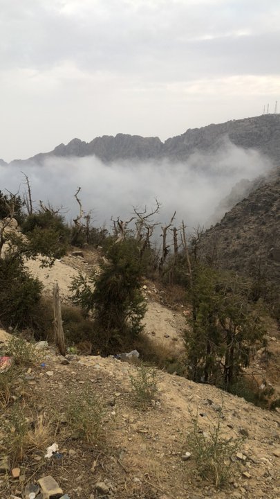 مشاركاتي في أنت الراصد