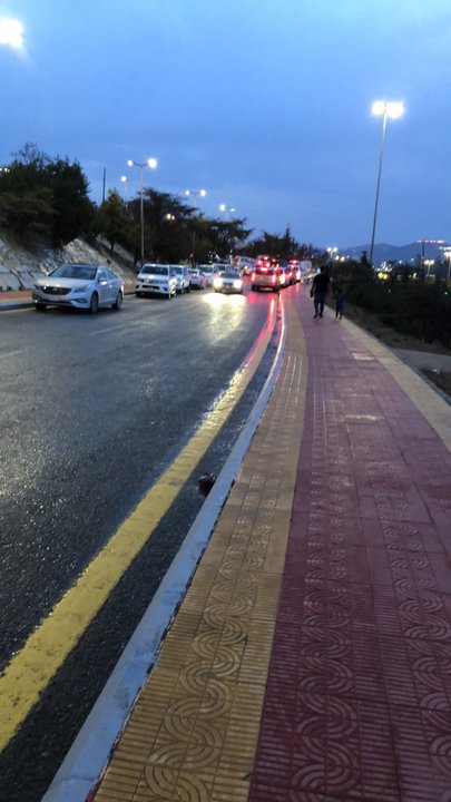 مشاركاتي في أنت الراصد