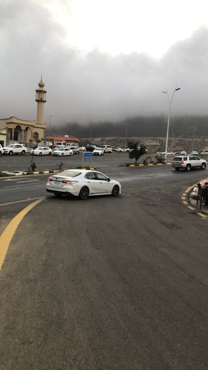 مشاركاتي في أنت الراصد