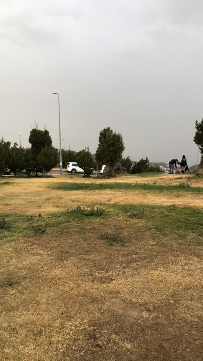 مشاركاتي في أنت الراصد