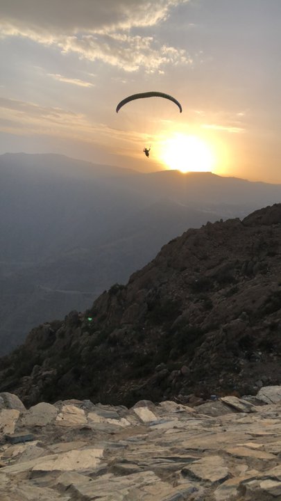 مشاركاتي في أنت الراصد