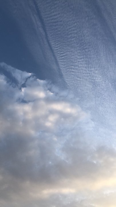 مشاركاتي في أنت الراصد