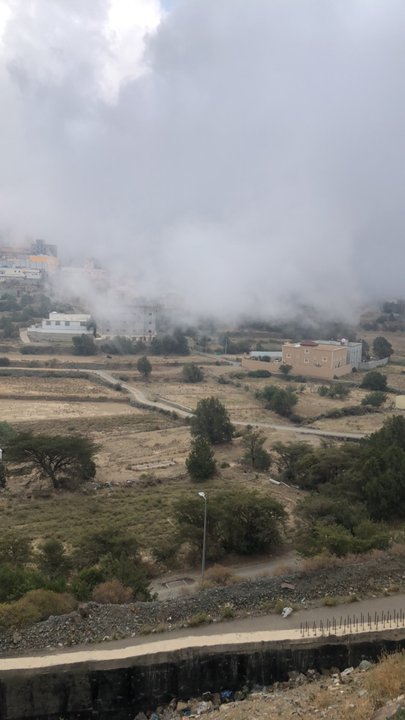 مشاركاتي في أنت الراصد