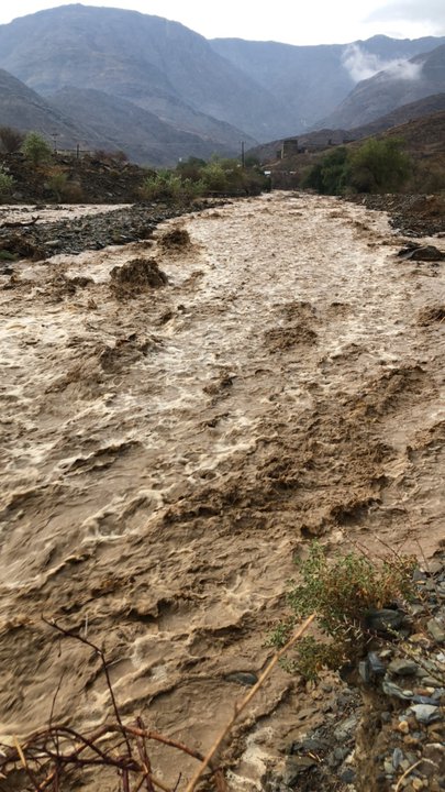 Mes publications Crowdsourcing