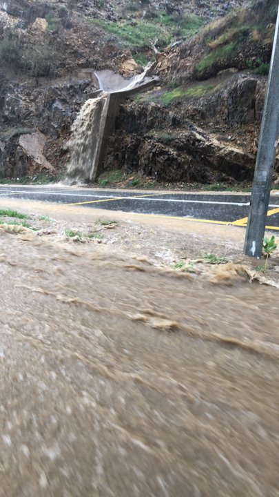 مشاركاتي في أنت الراصد