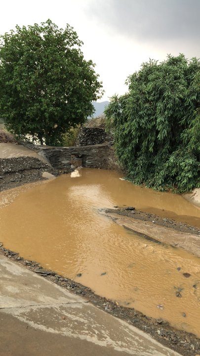 مشاركاتي في أنت الراصد