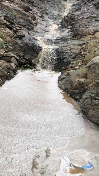 مشاركاتي في أنت الراصد