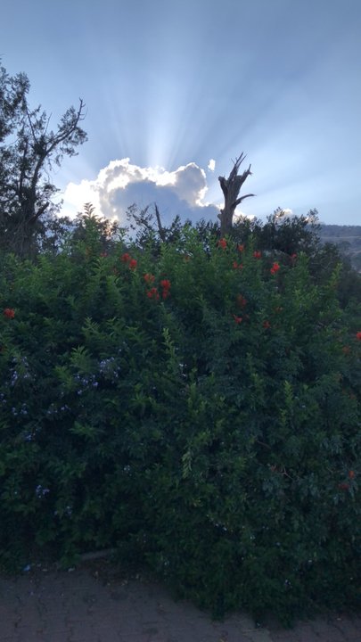 Mes publications Crowdsourcing