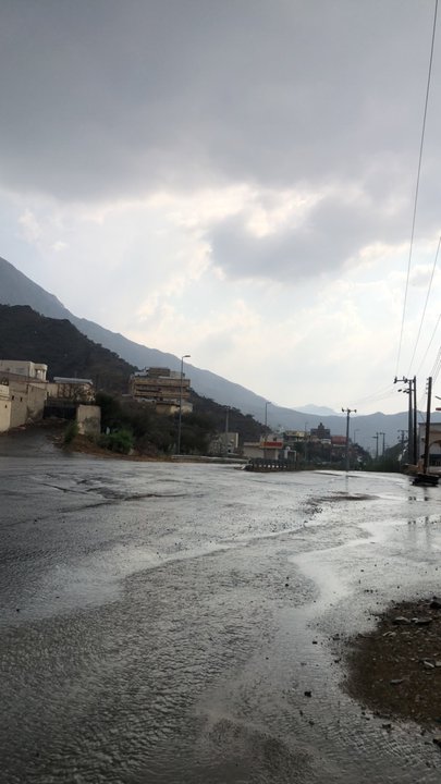 مشاركاتي في أنت الراصد