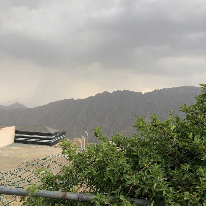 مشاركاتي في أنت الراصد