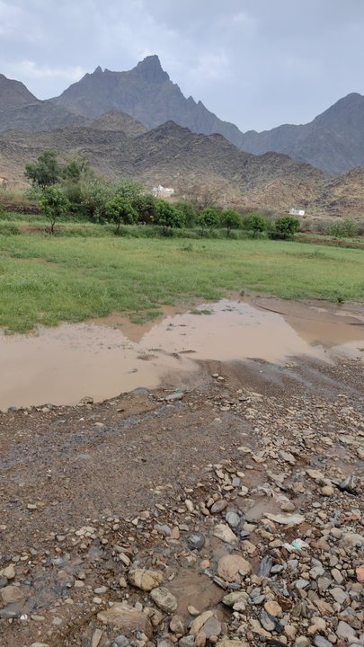 My Crowdsourcing Posts