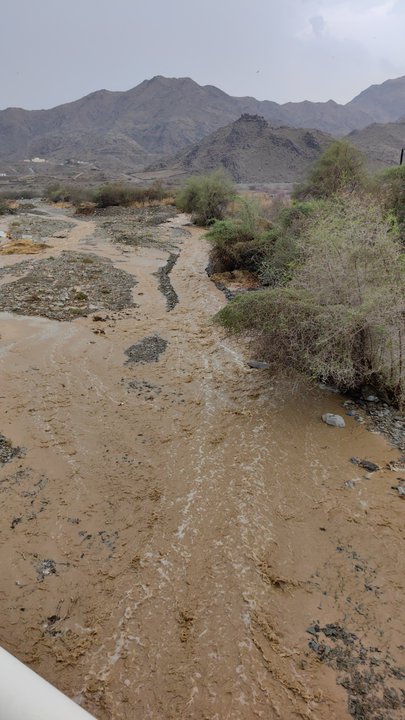 مشاركاتي في أنت الراصد
