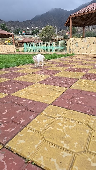 My Crowdsourcing Posts