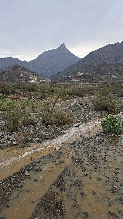 Mes publications Crowdsourcing