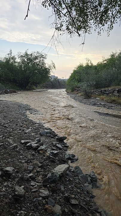 مشاركاتي في أنت الراصد