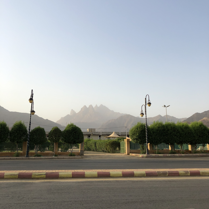 مشاركاتي في أنت الراصد