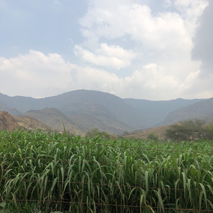 My Crowdsourcing Posts