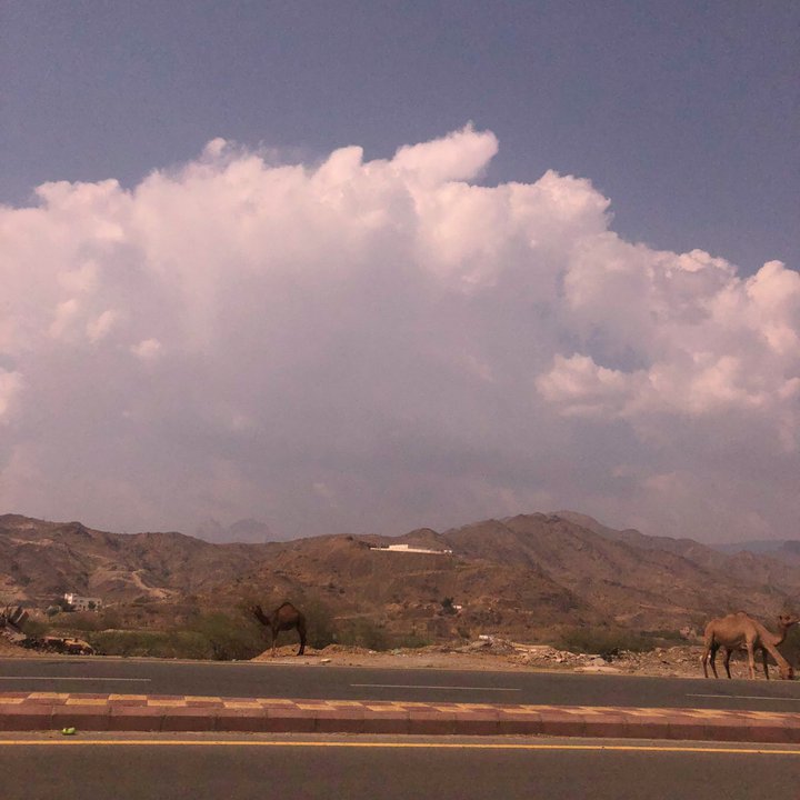 My Crowdsourcing Posts