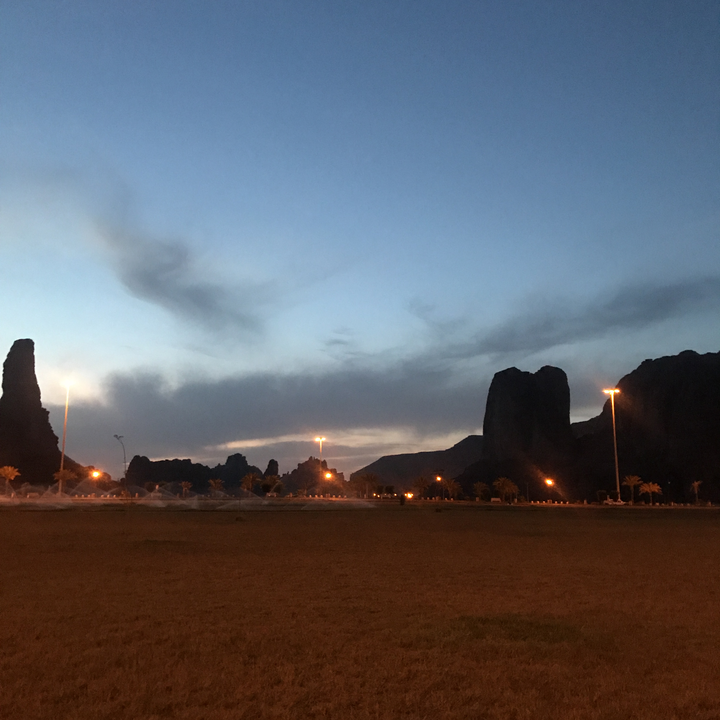 مشاركاتي في أنت الراصد